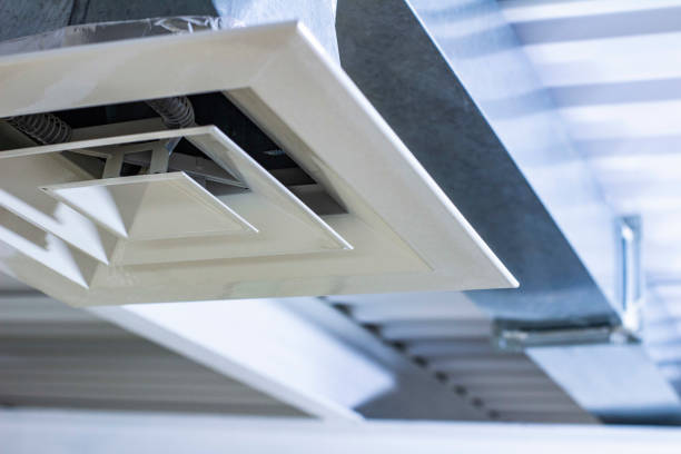 Best Air Duct Inspection  in Momence, IL
