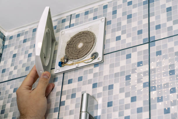 Best HVAC System Cleaning  in Momence, IL
