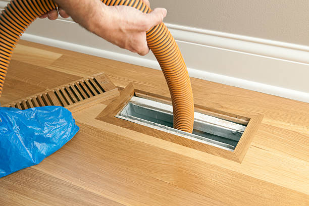 Best Residential Air Duct Cleaning  in Momence, IL