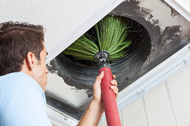 Best Commercial Air Duct Cleaning  in Momence, IL