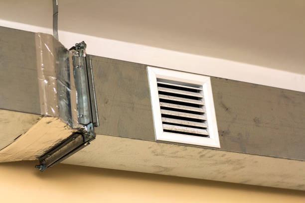 Best Professional Duct Cleaning Services  in Momence, IL